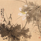 吳顯剛 四尺斗方《荷之韻》 貴州七星關(guān)美協(xié)主席