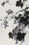 【已售】陳薪名《金玉滿堂》 中美協會員 第六屆全國花鳥畫展金獎獲得者