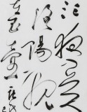 張允漢 四尺對開《一片冰心在玉壺》 中書協會員 河南書法院創作部主任