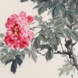 【已售】陳薪名 三尺《花開富貴》中美協會員 第六屆全國花鳥畫展金獎獲得者